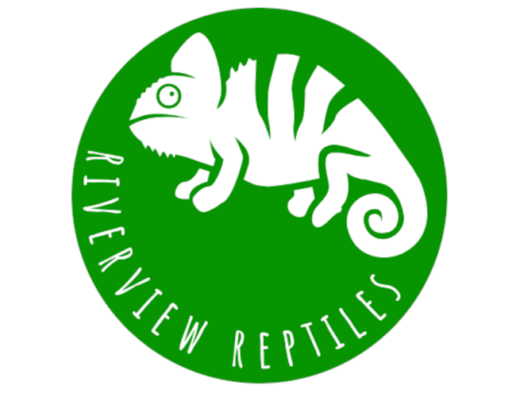 Riverview Reptiles