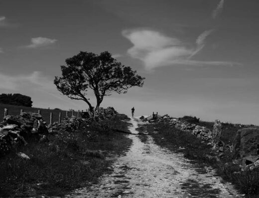 Stuart Wheeldon Photography
