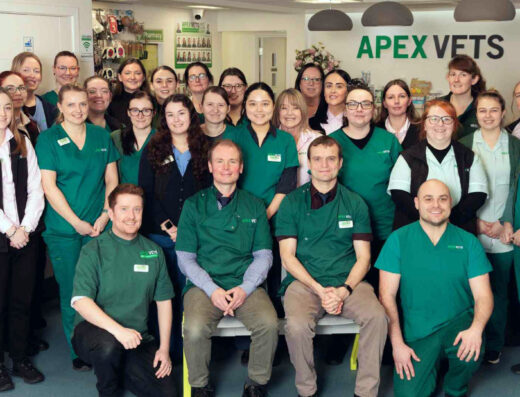 Apex Vets
