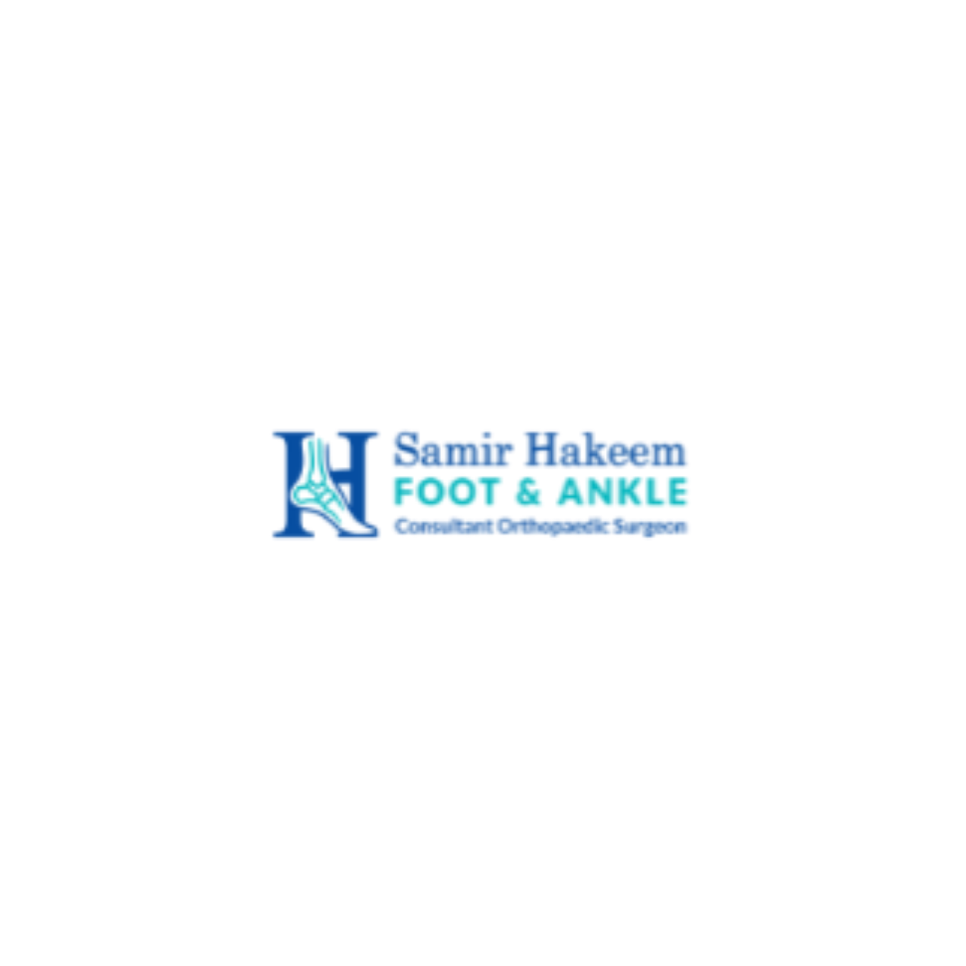 Mr Samir Hakeem