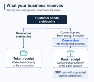 stablecoin-and-bank-receipt-routes